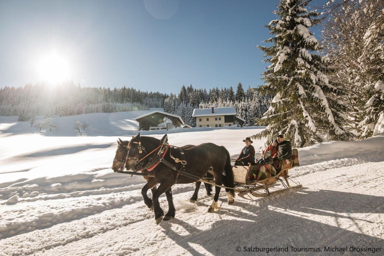 Hideaway Dachstein West By Alps Resorts ซังต์ มาร์ติน อัม เทนเนนเกอเบียร์เกอ ภายนอก รูปภาพ